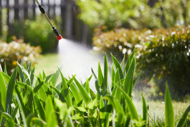 24/7 Emergency Wasp Removal experts in Erie, IL