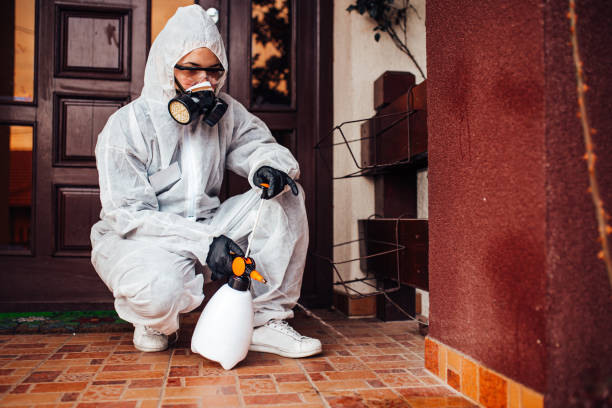 Reliable Wasp Removal contractor in Erie, IL by Show Me Pest Control